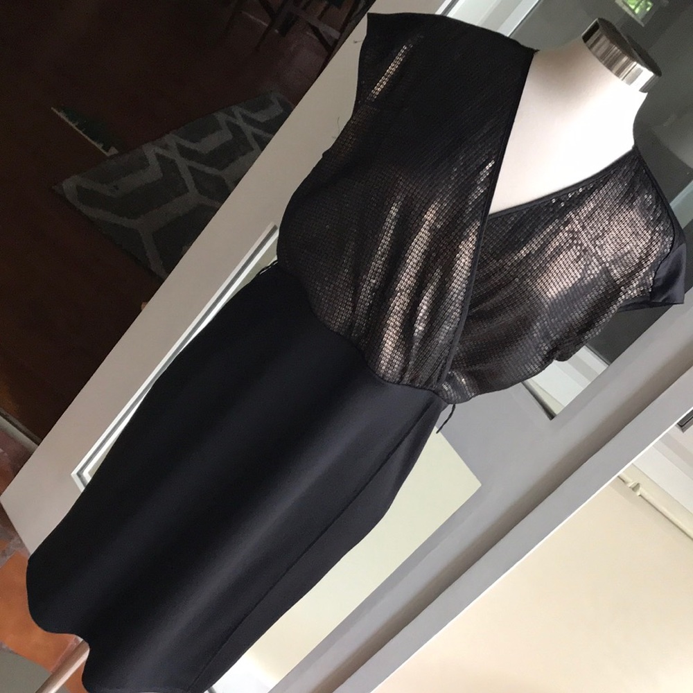 Narcisco Rodriguez Sequin Dress